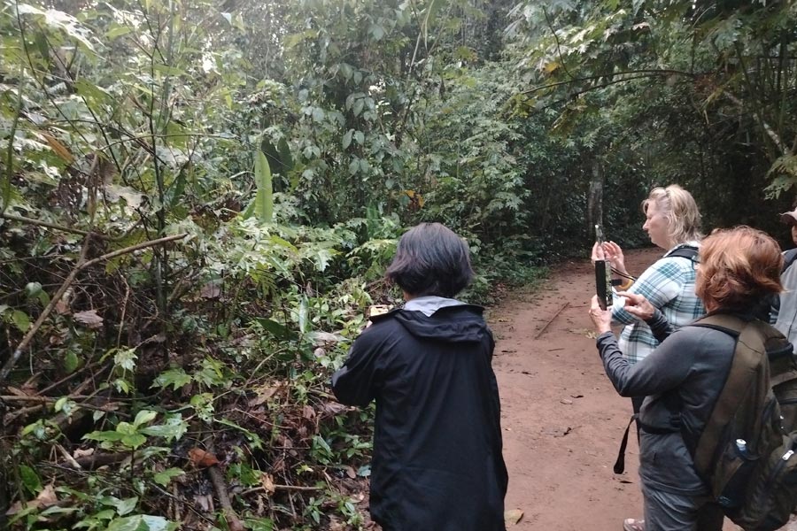 Ultimate Amazon Experience