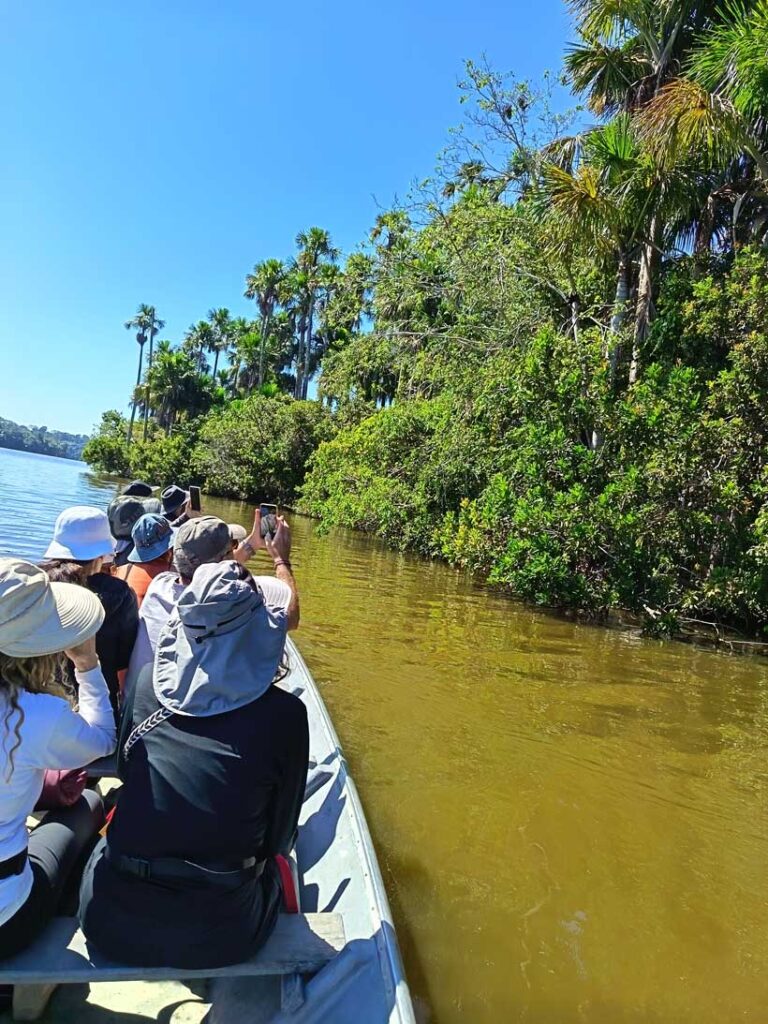 Ultimate Amazon Experience