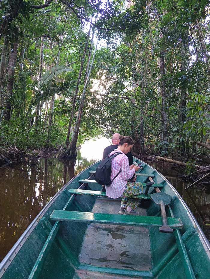 rainforest-tambopata-jungle-8